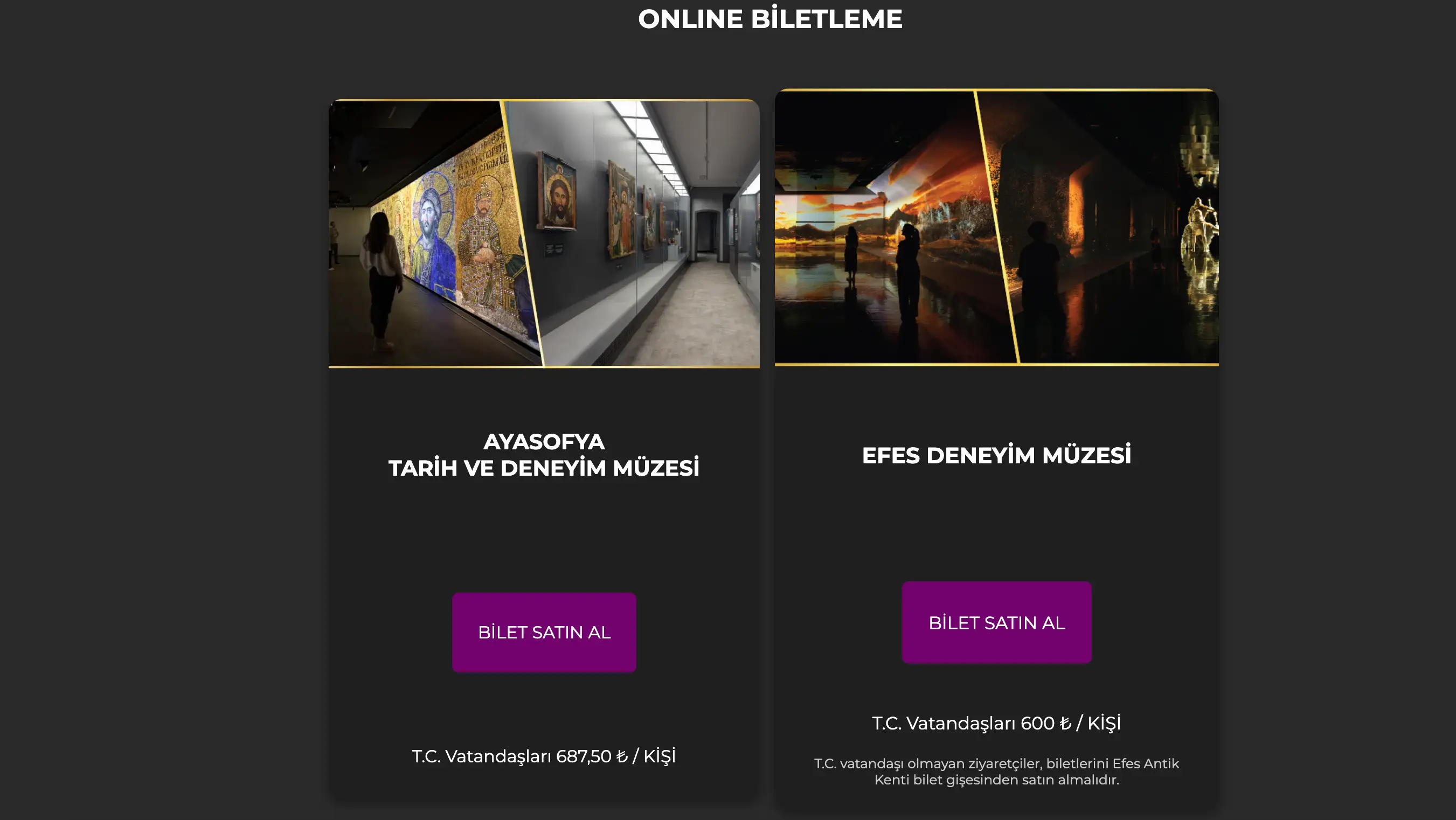 DEM Museums B2B ve dijital pazarlama ekranı