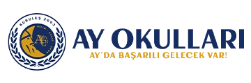 Ay Okulları Logo - Most Idea referans projesi